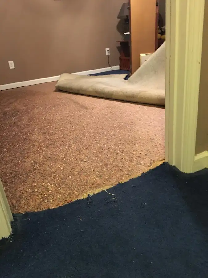 Carpet pad removal revealing water damage during Drying & Dehumidification in Burien