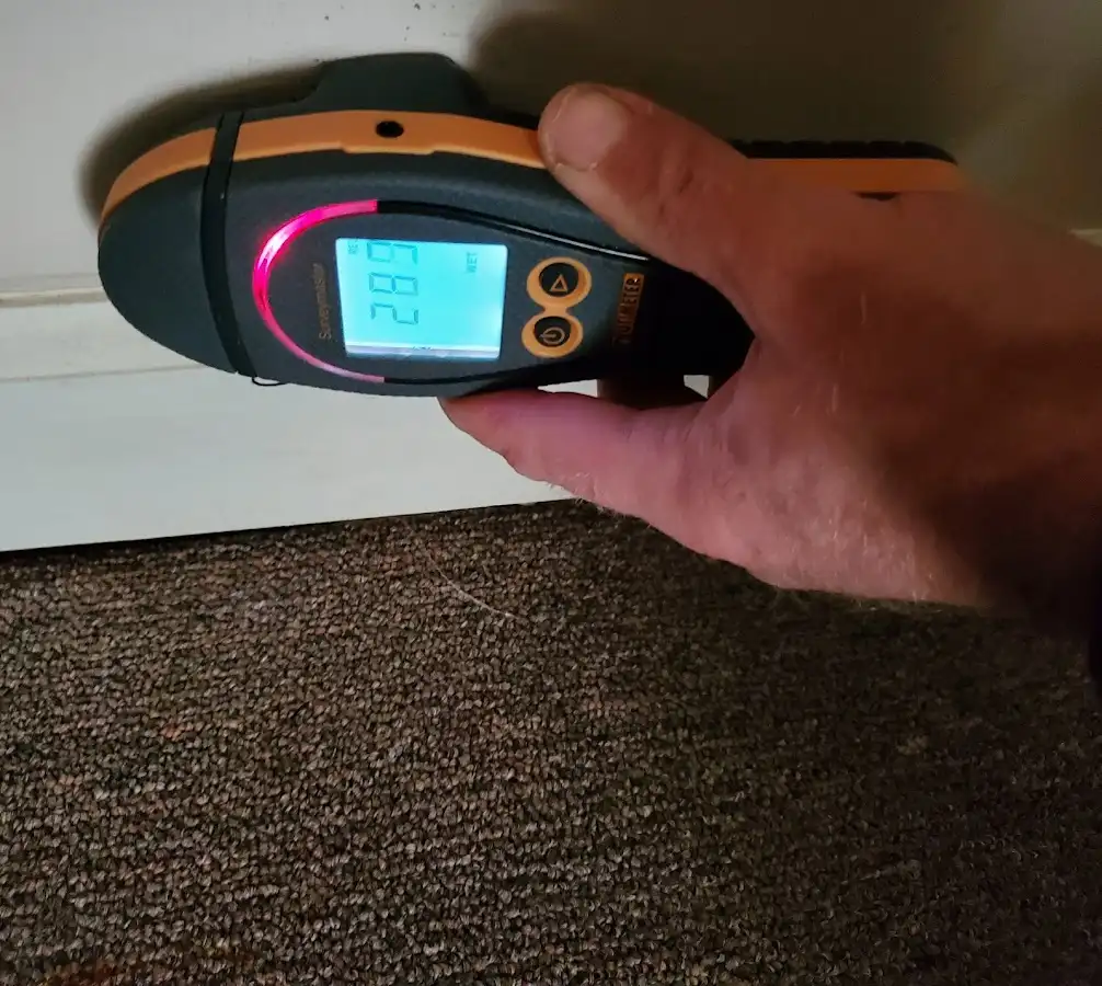 Moisture detection at baseboard during Sewage Cleanup & Sanitation in Burien